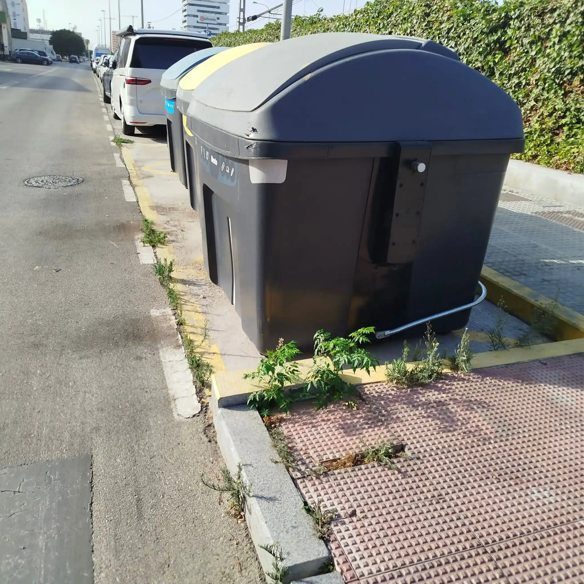 Image from Cádiz Abandonada: 🌱 Denuncian la proliferación de hierbas adventicias en aceras y calza...