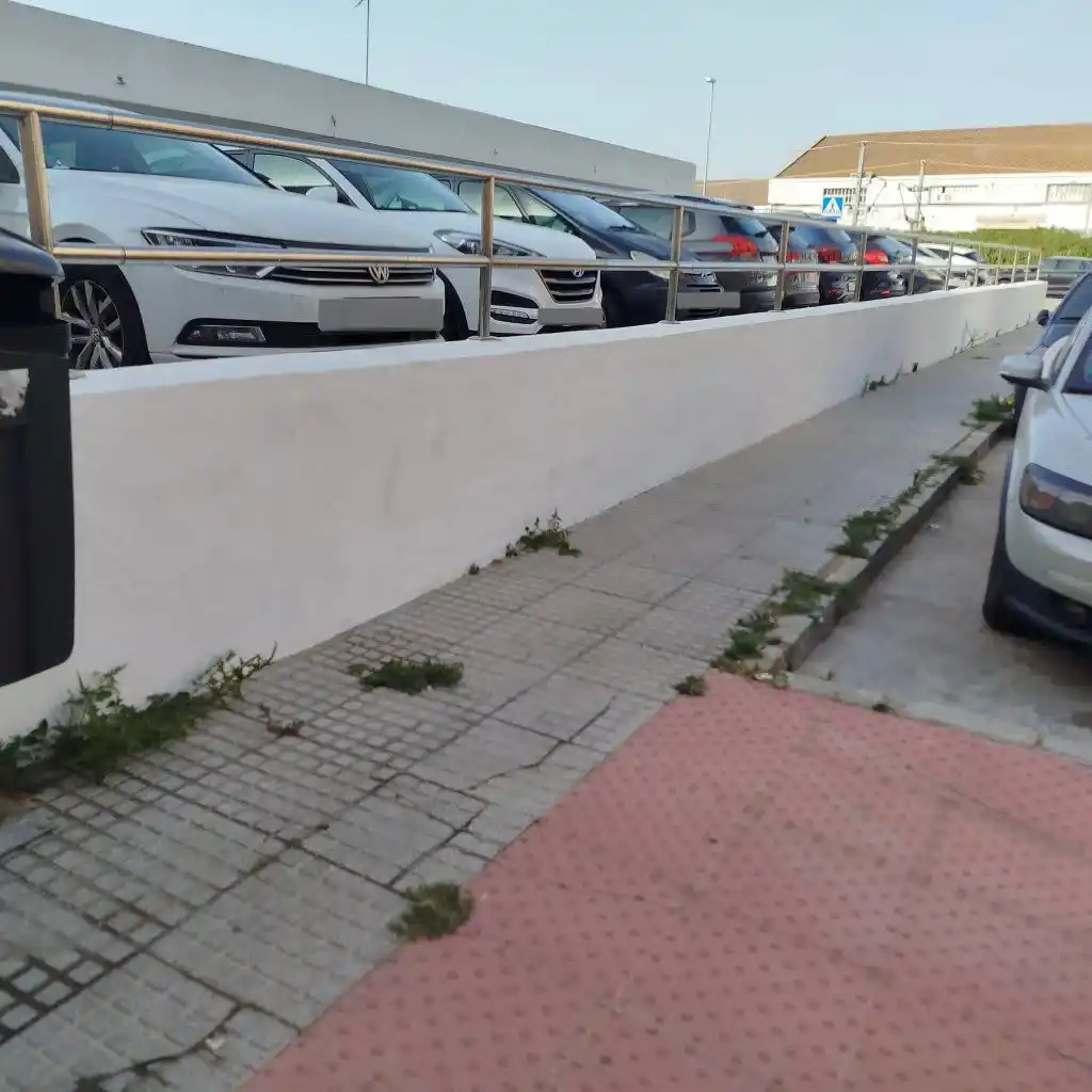 Image from Cádiz Abandonada: 🌱 Denuncian la proliferación de hierbas y la ausencia de labores de d...