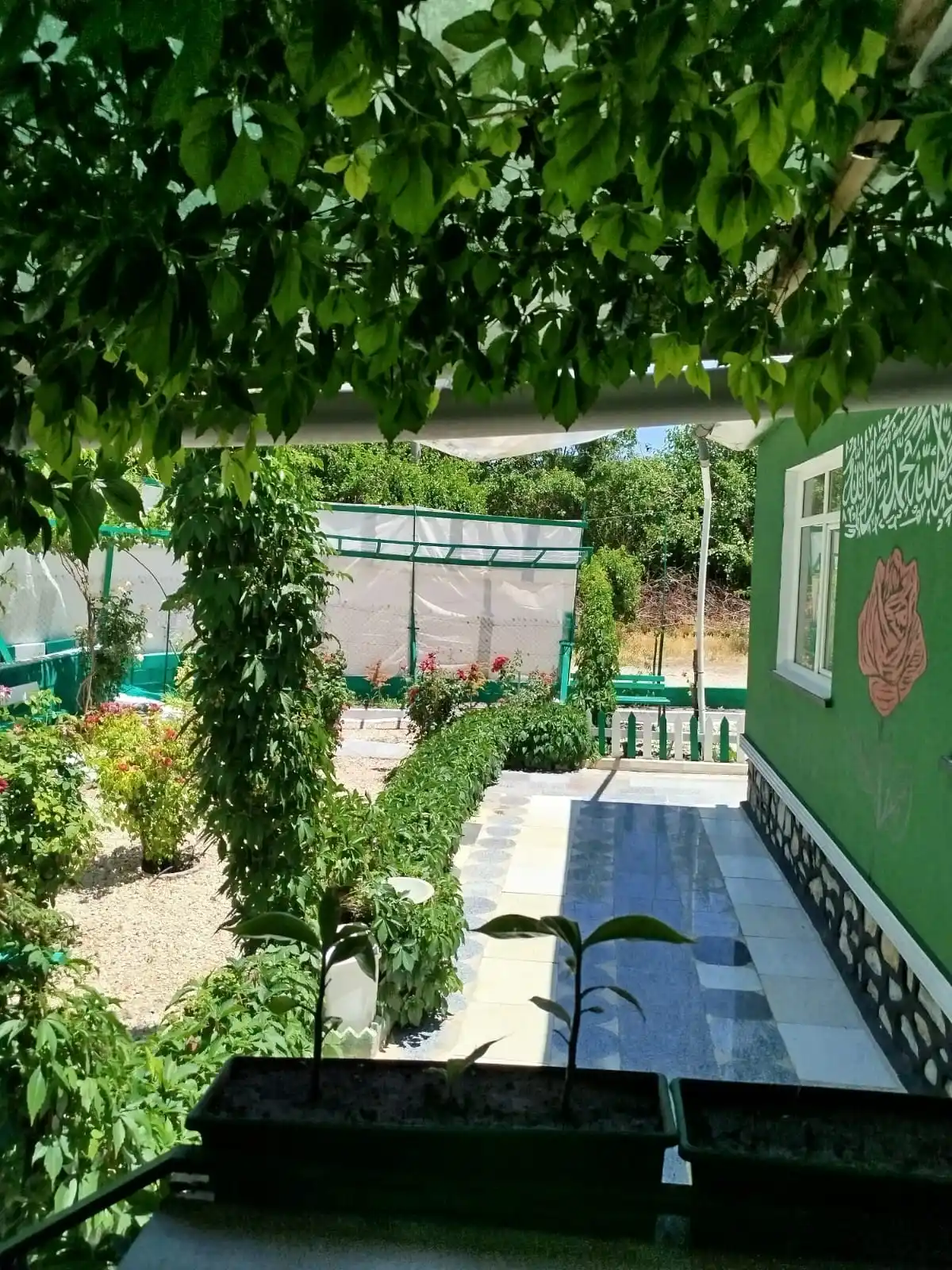 Image from Teslim ol Huzur Bul: Enbiyâ / 97. Ayet وَاقْتَرَبَ الْوَعْدُ الْحَقُّ فَاِذَا هِيَ شَاخِصَة...
