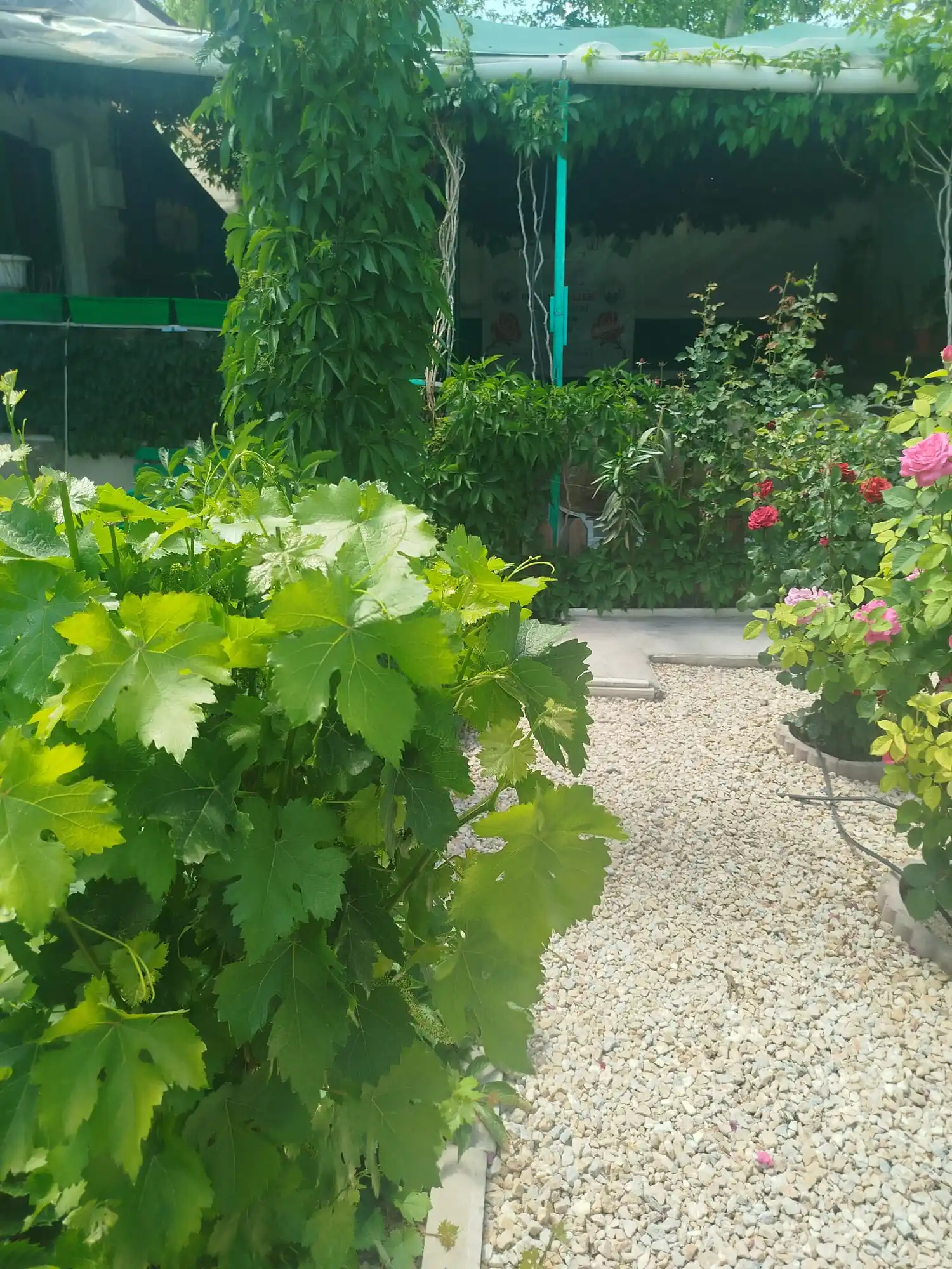 Teslim ol Huzur Bul post