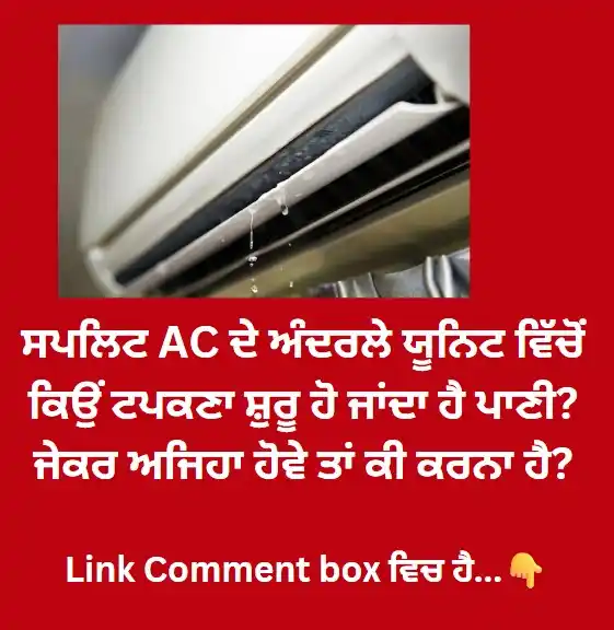 Image from News18 Punjab: https://punjab.news18.com/news/health/if-you-donot-want-to-eat-eggs-to...