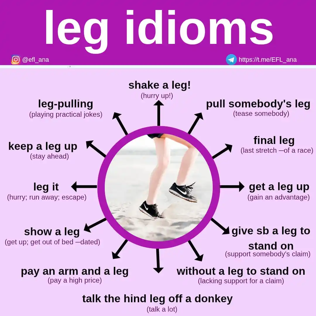 Image from EFL_ana English: 🔹Let's have a look at some English idioms related.to the leg. 🟣🦵🟣�...