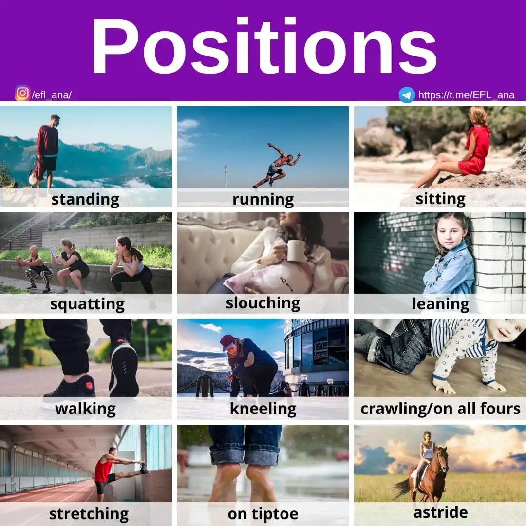 Image from EFL_ana English: 🔹Let's have a look at the words for different body positions in Engli...