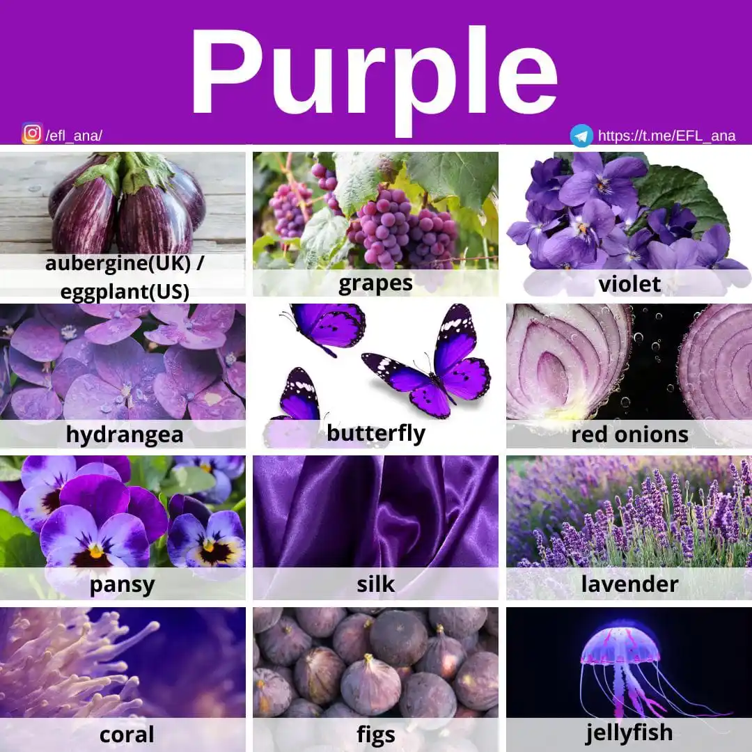 Image from EFL_ana English: 🔹Let's speak about PURPLE things in English. 🟣🍇🟣🍇🟣🍇🟣🍇🟣🍇🟣🍇...