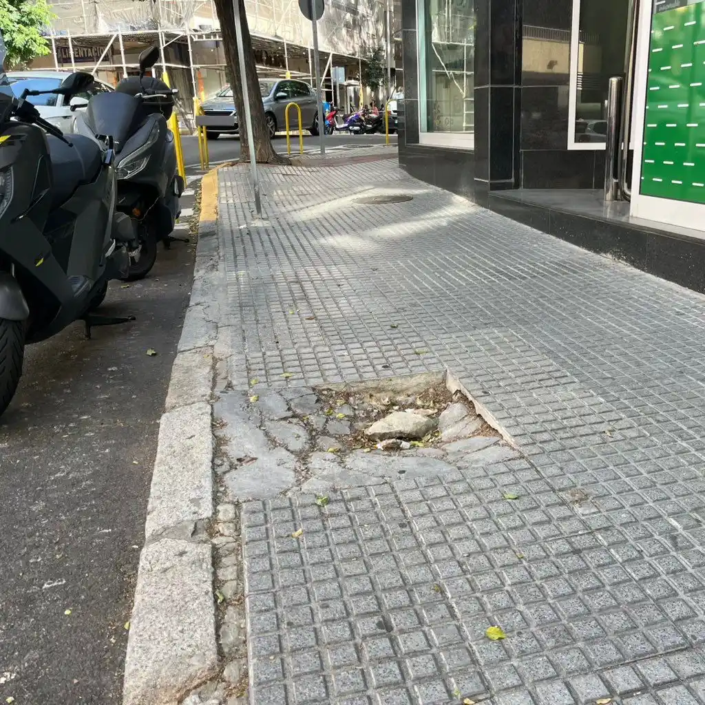 Image from Cádiz Abandonada: 🌳 Más de seis meses después, continúan sin ser restituidos los dos al...