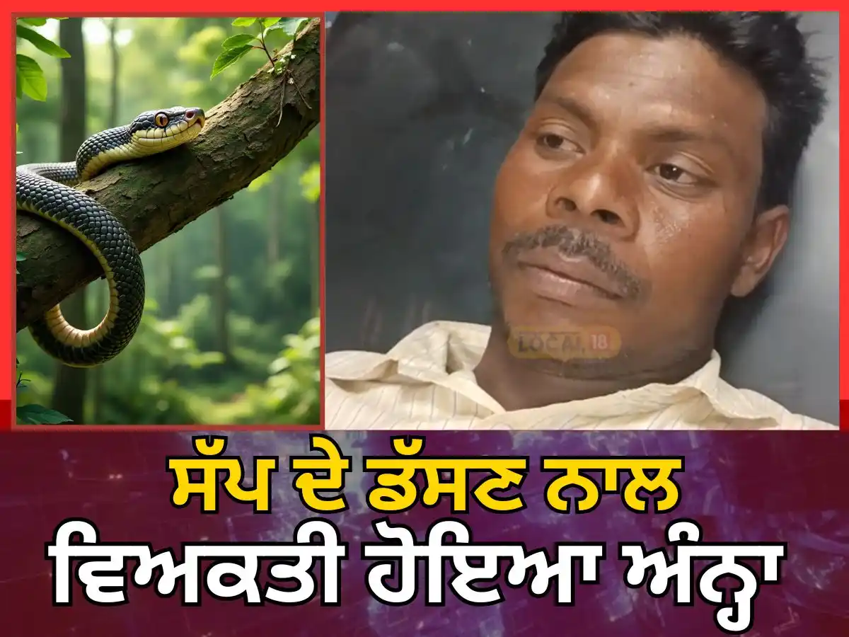 Image from News18 Punjab: ਸੱਪ ਦੇ ਡੱਸਣ ਨਾਲ ਵਿਅਕਤੀ ਹੋਇਆ ਅੰਨ੍ਹਾ... https://punjab.news18.com/news/k...