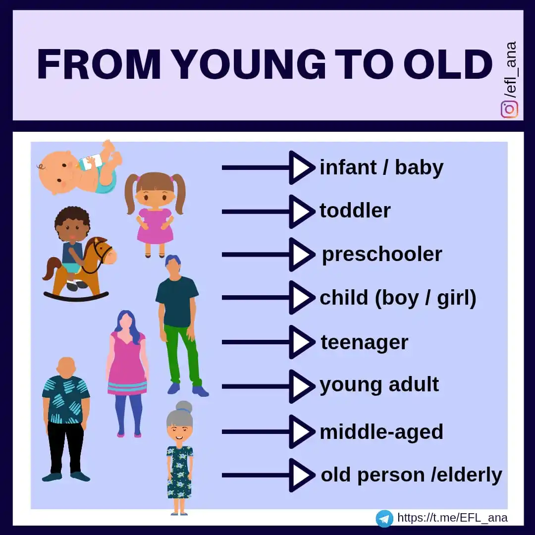Image from EFL_ana English: 🔹Today' words refer to people from young to old in English. 👶👧👵➰�...