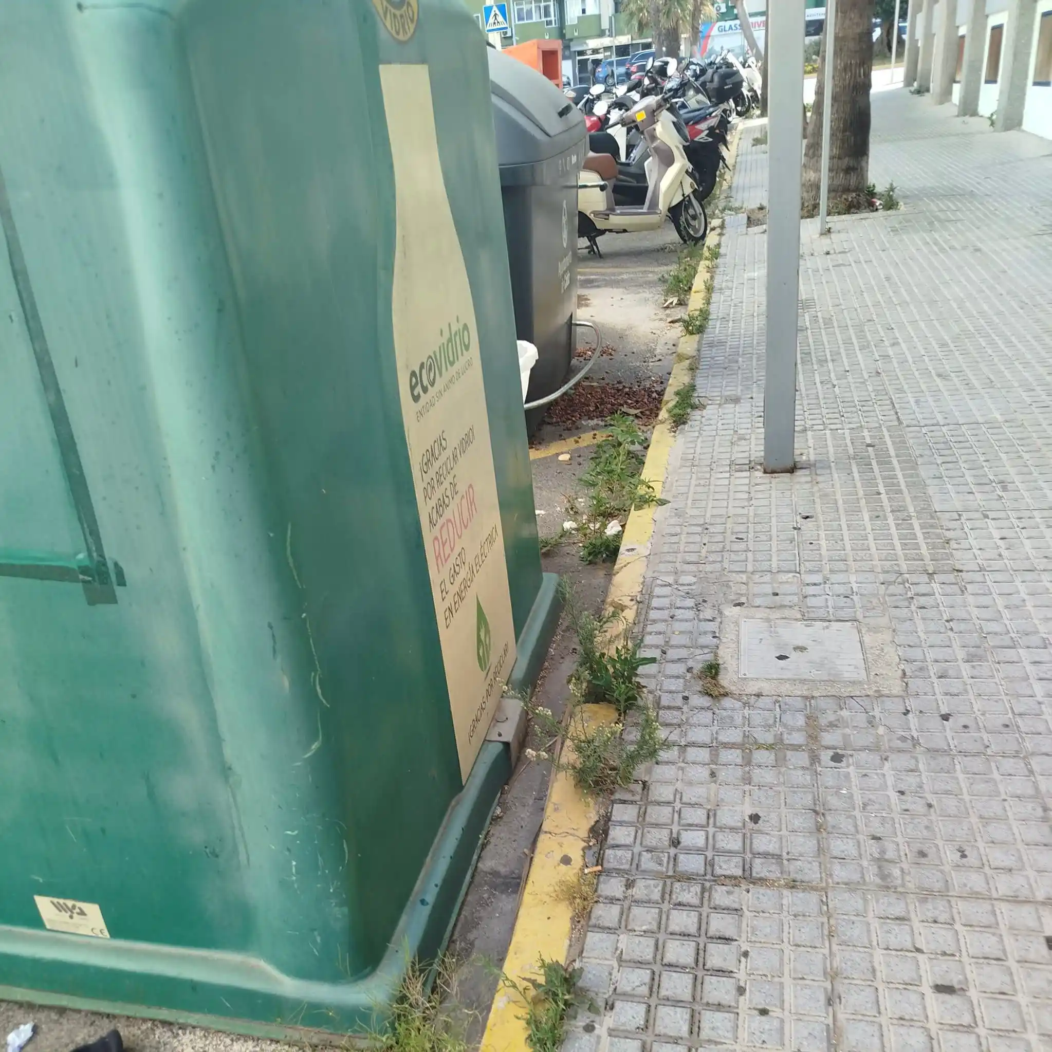 Image from Cádiz Abandonada: 🌱 Un colaborador denuncia la ausencia de labores de desbrozado de hie...