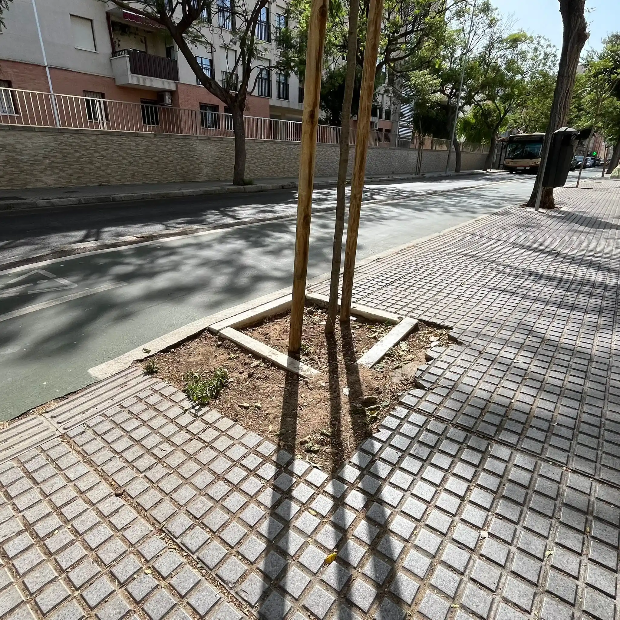 Image from Cádiz Abandonada: 🚧🧱 Una colaboradora denuncia el estado de deterioro que presentan ac...
