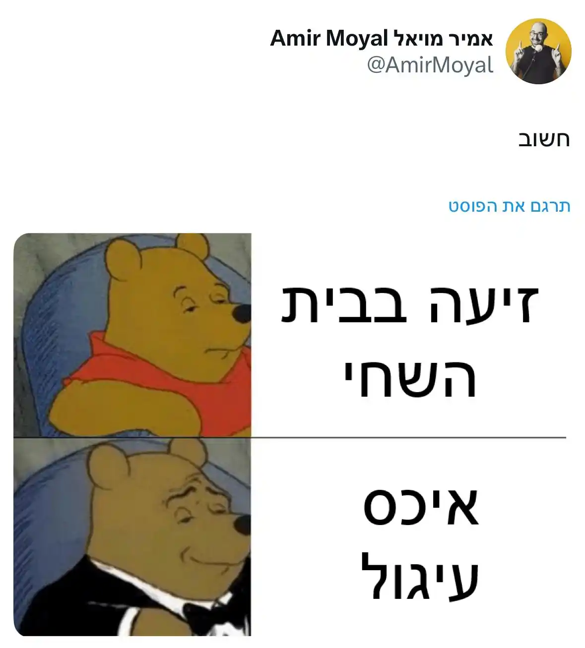 אמיר מויאל עוצר מילים לביקורת post