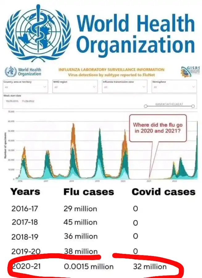 Image from Wenn Medien lügen: *Wenn COVID die INFLUENZA-Saison ersetzt!* 🙊🙊  *RICHTIG! Die Grippe ...