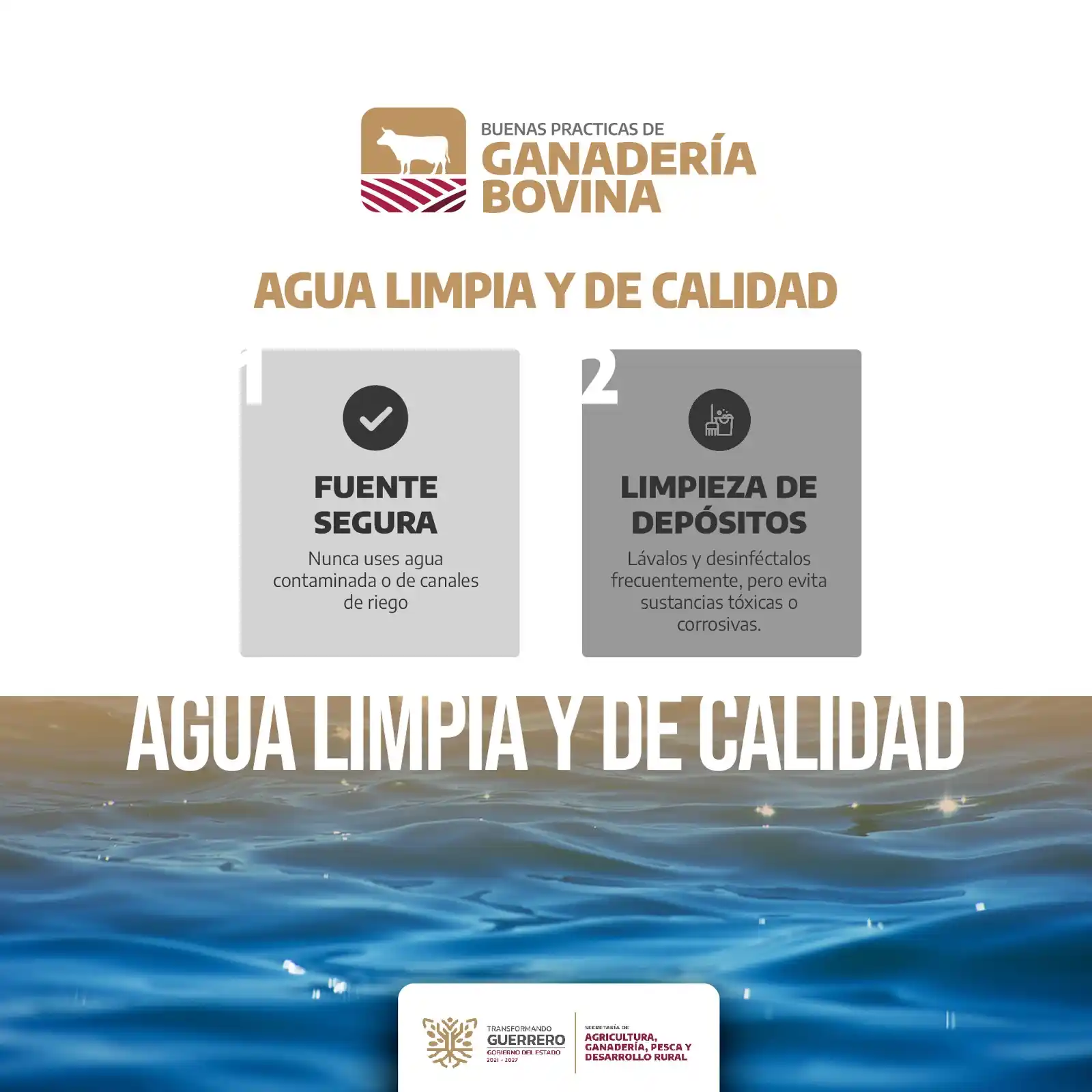 Image from SAGADEGRO: 🚰🐄 Agua limpia y de calidad: Asegura la salud del ganado utilizando ...