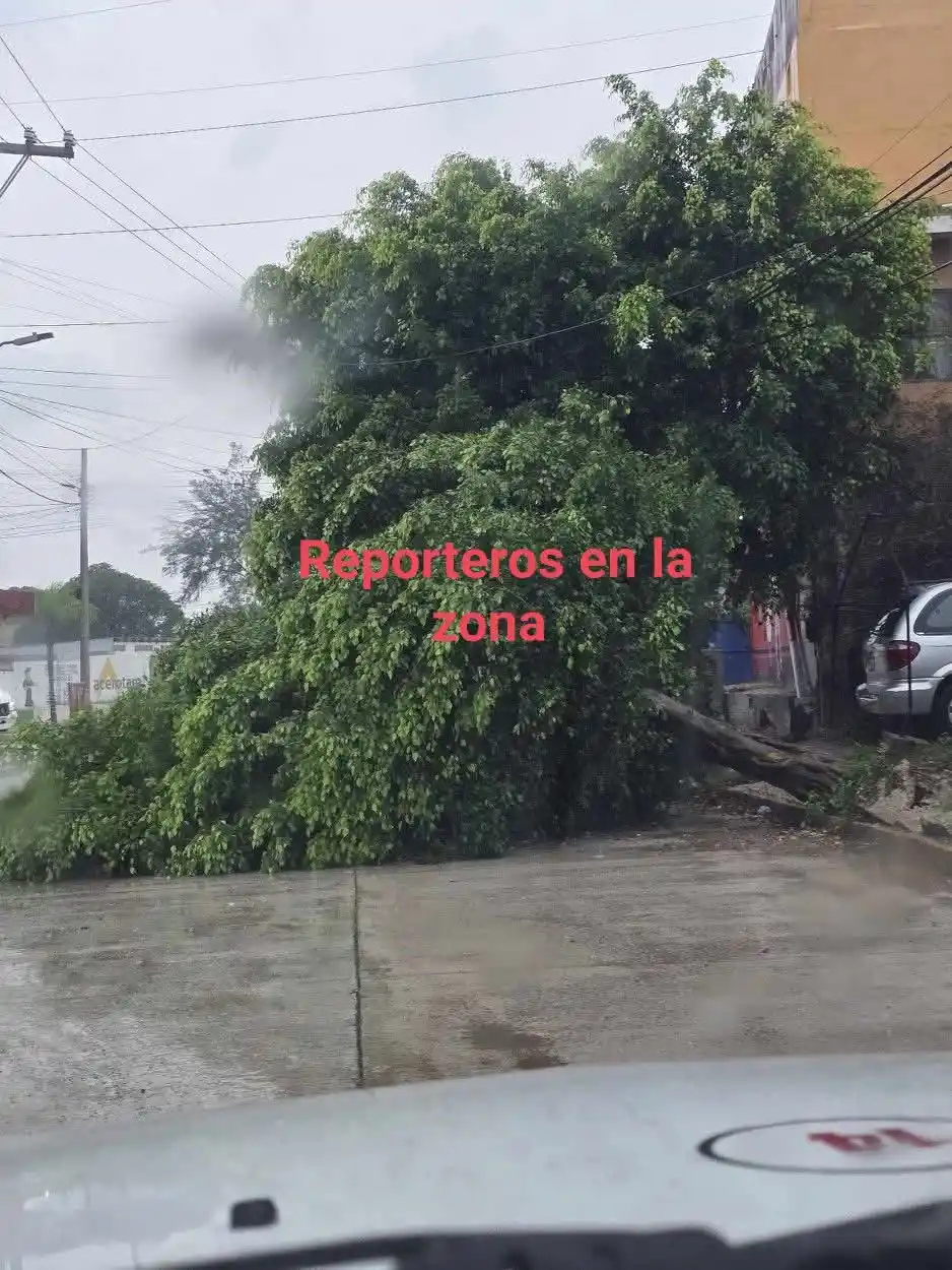 Image from Reporteros En La Zona🚨🎥📡📸: <a class="text-blue-500 hover:underline cursor-pointer" href="/hashtag...
