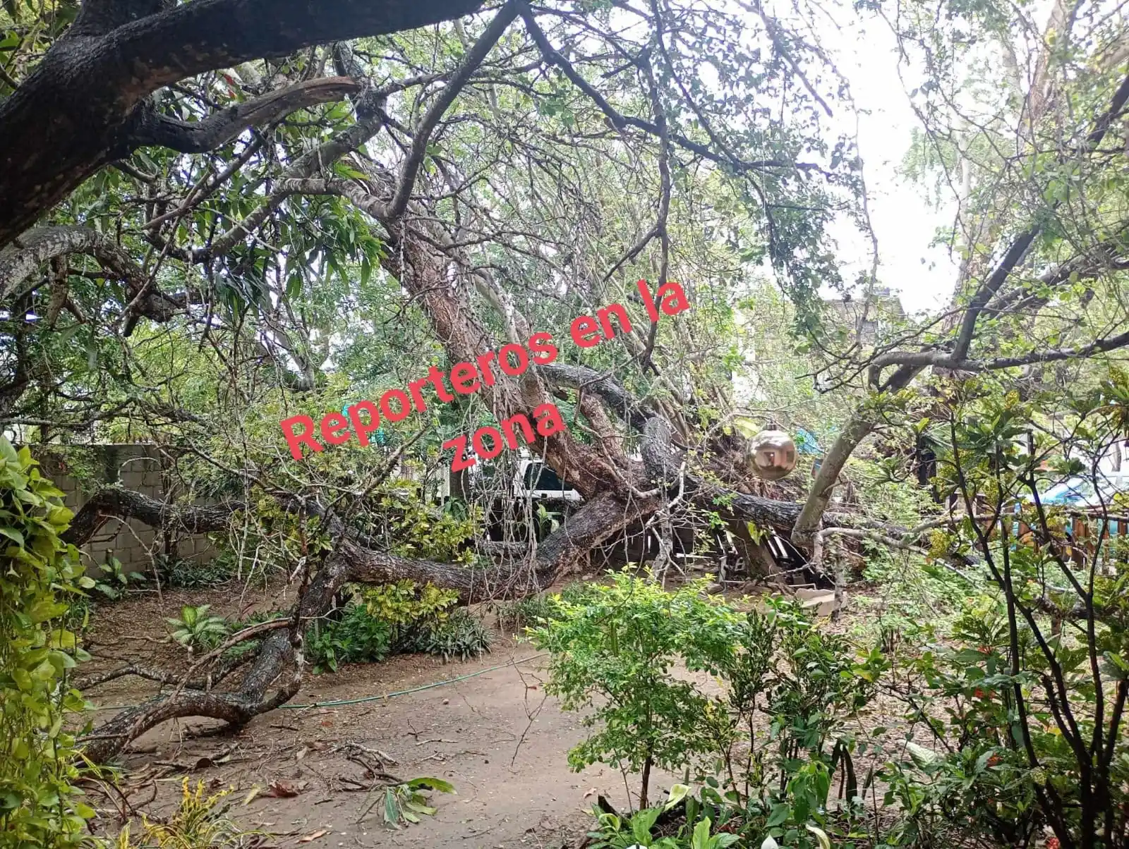 Image from Reporteros En La Zona🚨🎥📡📸: <a class="text-blue-500 hover:underline cursor-pointer" href="/hashtag...