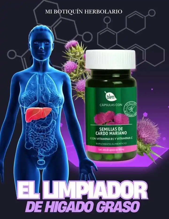 Image from Blenestar Total 🌱 🌿 🍃 💜: CÁPSULAS CARDO MARIANO BLEN 👌🏼📌💊🌿 ➡️BENEFICIOS: Protector hepát...