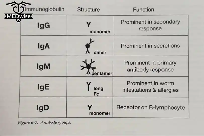 𝗠𝗘𝗗𝘄𝗶𝘀𝗲𝗣𝗞 post
