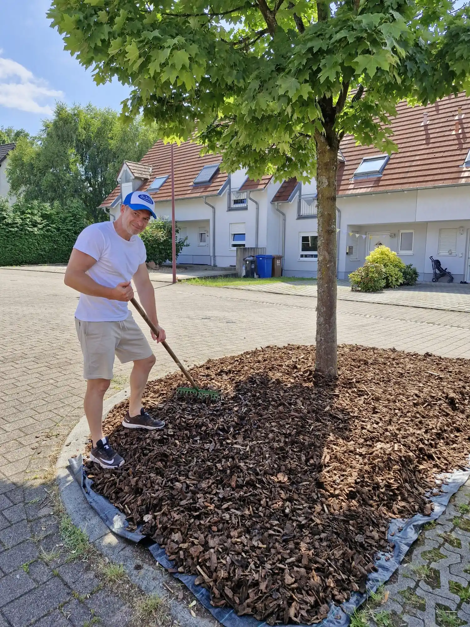 Image from Sickingenstadt Landstuhl - Infos vom Stadtbürgermeister und seinem Team: 🌳💪 Gemeinsam für ein schöneres Landstuhl! Heute wurde wieder angepa...