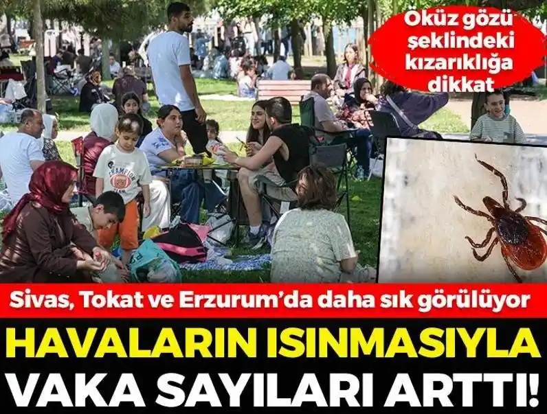 Image from posta.com.tr: Havalar ısındı, vaka sayıları pik yaptı! ⚠️Öküz gözü şeklindeki kızar...