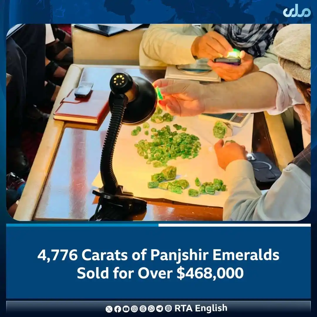 Image from RTA English: In the latest bidding round for Panjshir emeralds, a total of 4,776 ca...