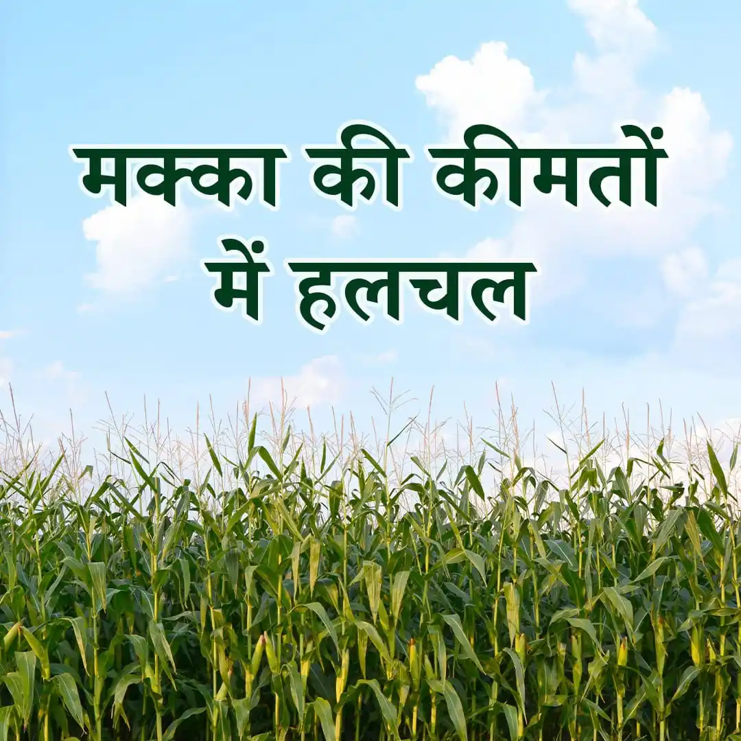 FarMart App post