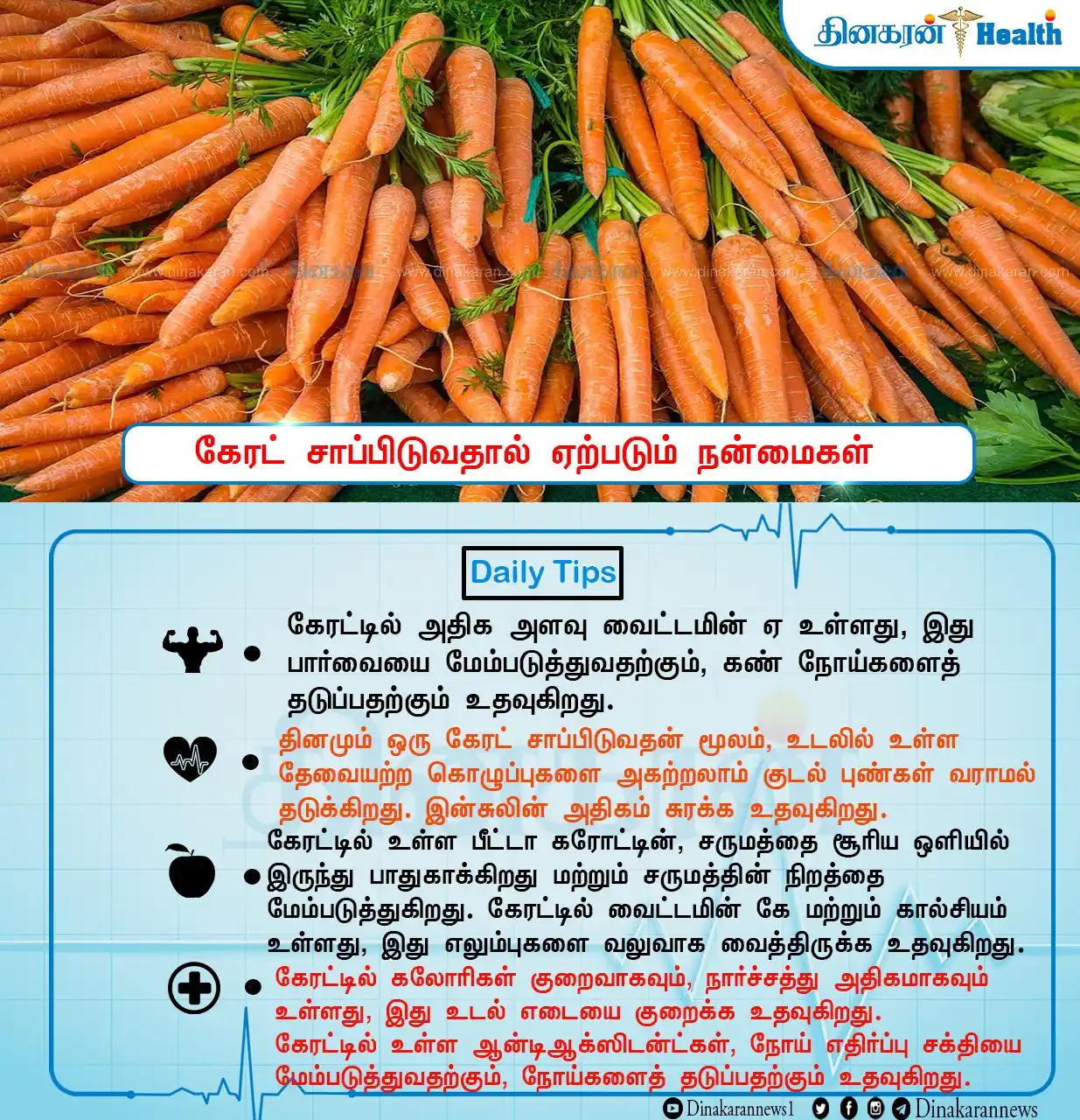 Image from DinakaranNews: கேரட் சாப்பிடுவதால் ஏற்படும் நன்மைகள் <a class="text-blue-500 hover:un...