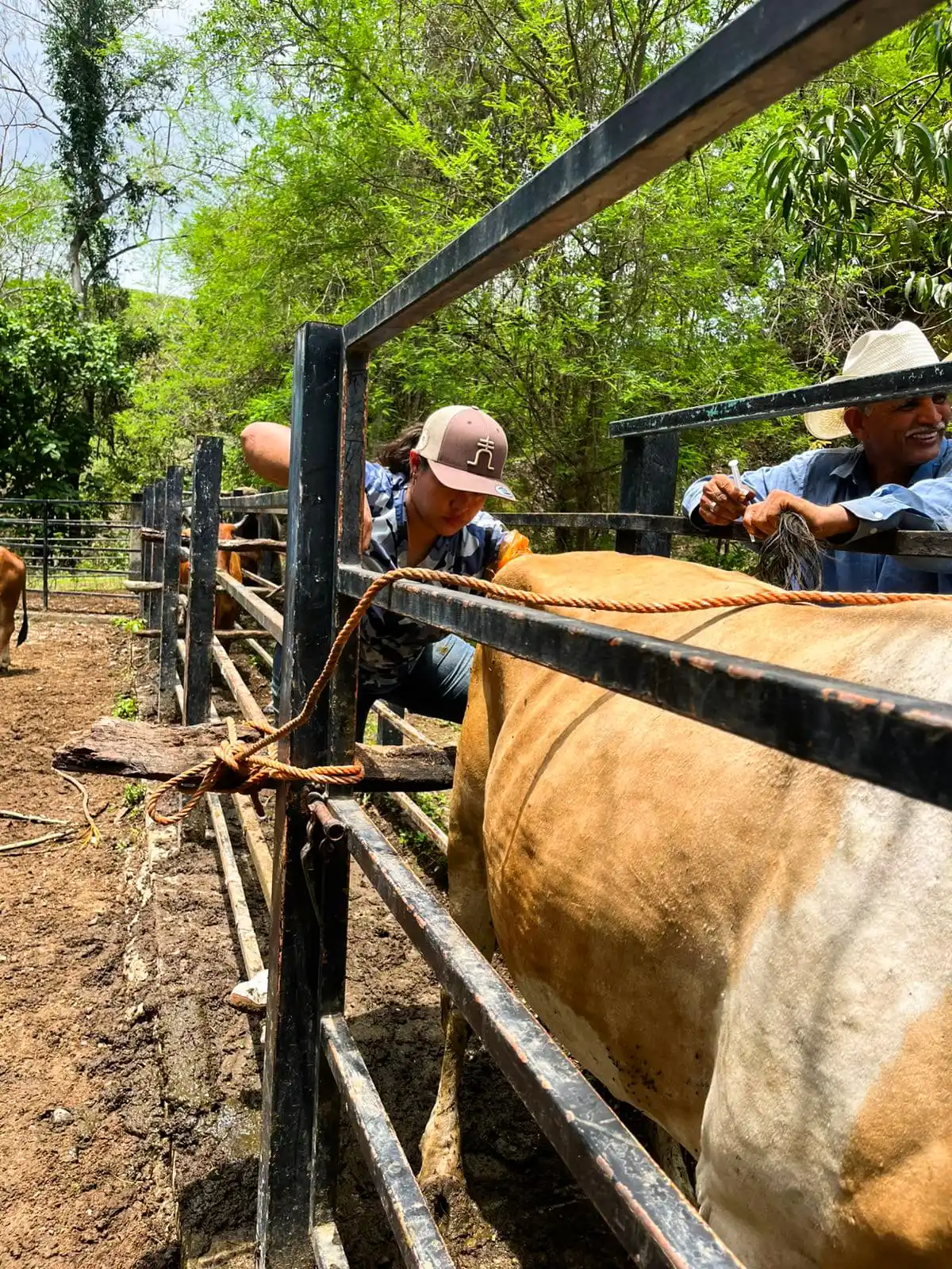 Image from SAGADEGRO: La Secretaría de Agricultura, Ganadería, Pesca y Desarrollo Rural (SAG...