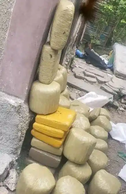 Image from Ric News🧾: *🚨Lapolis nan depatman sid tonbe sou yon depo Marigwana lakay yon gra...