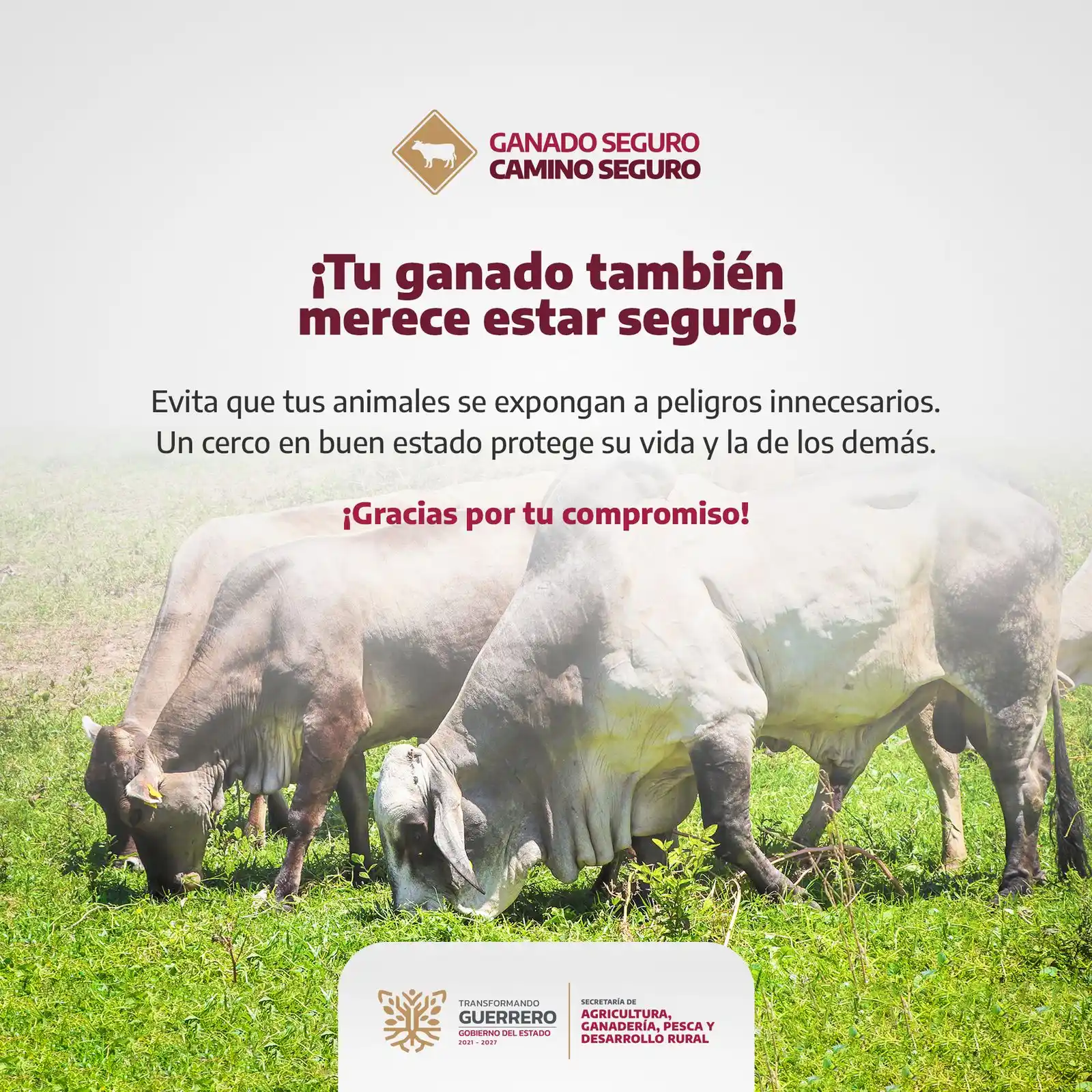 Image from SAGADEGRO: ¡Protege a tu ganado, protege a todos! 🐄 Un cerco en buen estado evit...