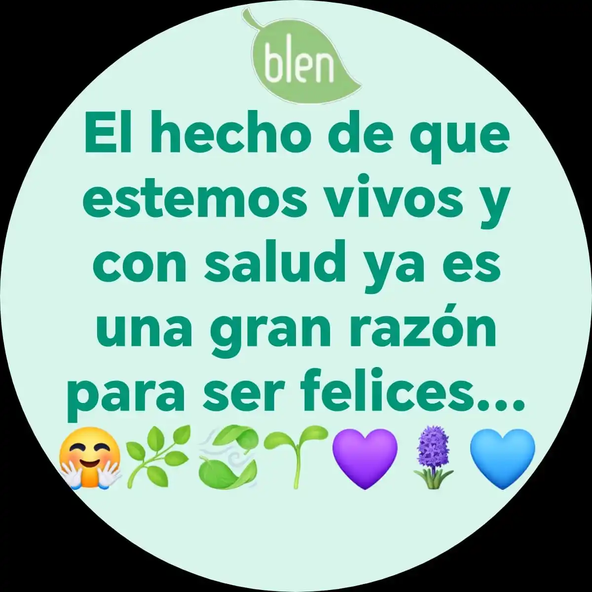 Image from Blenestar Total 🌱 🌿 🍃 💜: Somos Blendecidos 🌿 🍃 🌱💜 🪻 💙 🙏🏼 ✨ <a class="text-blue-500 hove...