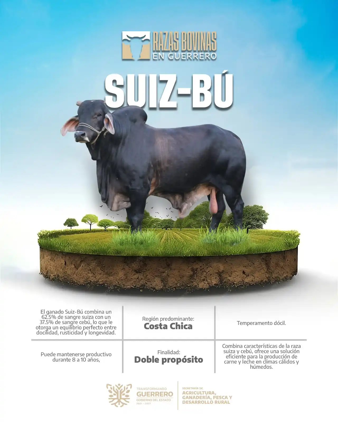 Image from SAGADEGRO: Suiz-Bu es una muestra del gran potencial ganadero de Guerrero. Resist...
