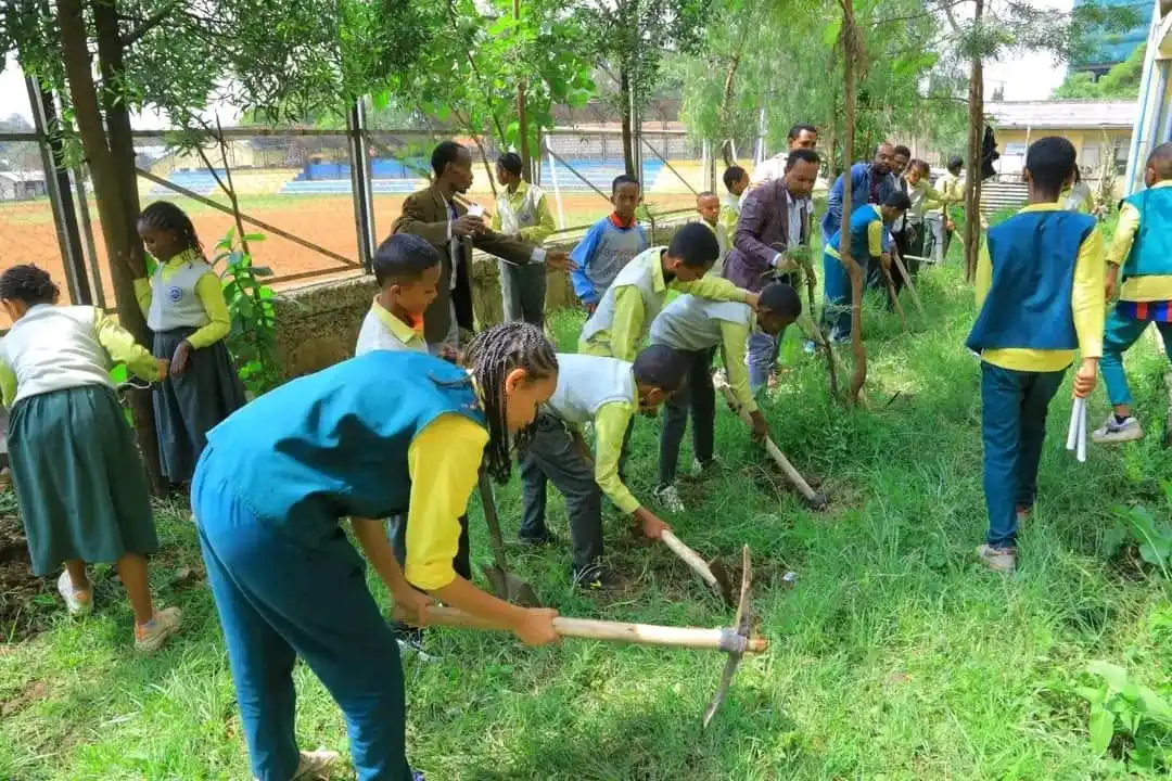 Image from Addis Ababa Education Bureau: በቂርቆስ ክፍለ ከተማ  የ2017 የትምህርት ዘመን  የ6ኛ ክፍል ከተማ አቀፍ  ፈተናን የወሰዱ ተማሪዎች ፈተናዉ...