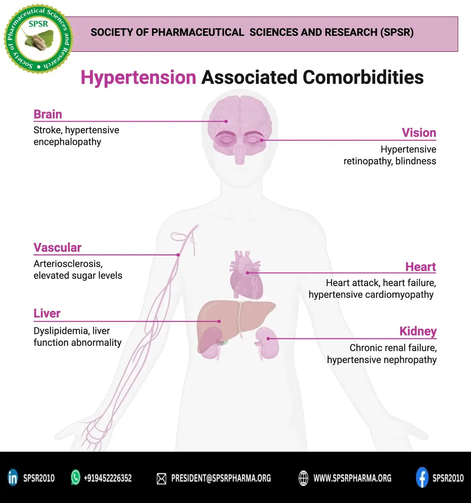 Image from INTERNATIONAL JOURNAL OF PHARMACEUTICAL SCIENCES AND RESEARCH: 🫀Hypertension🫀 and the Promise of Herbal Nanomedicine: A New Era in ...