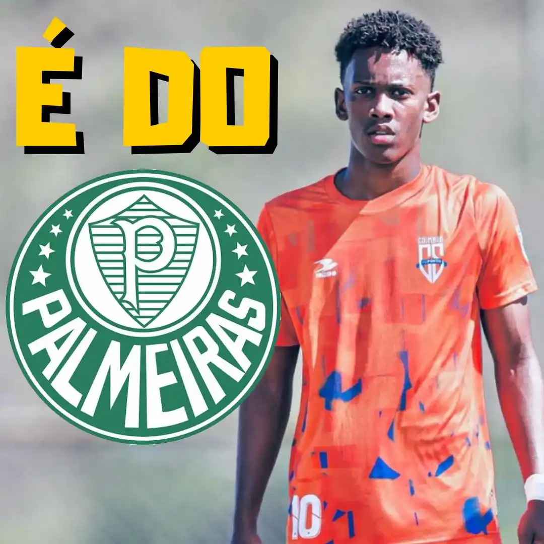 TUDO SOBRE O PALMEIRAS post