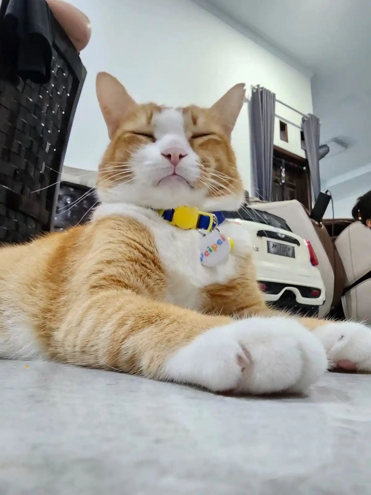 CUMP Meow post
