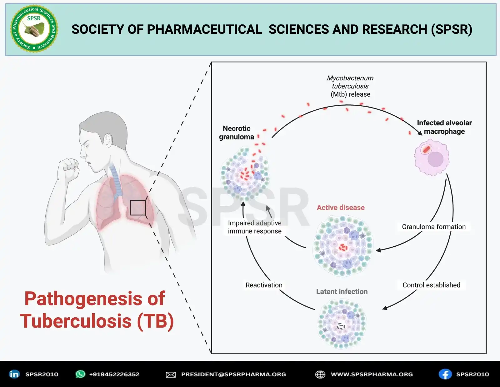INTERNATIONAL JOURNAL OF PHARMACEUTICAL SCIENCES AND RESEARCH post