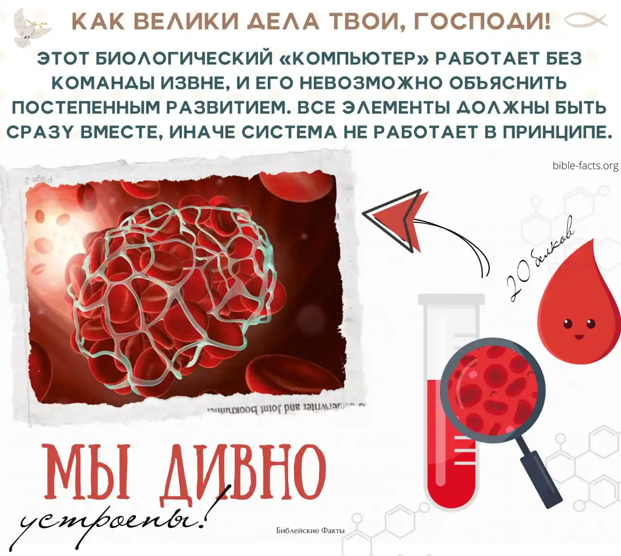Библейские Факты post