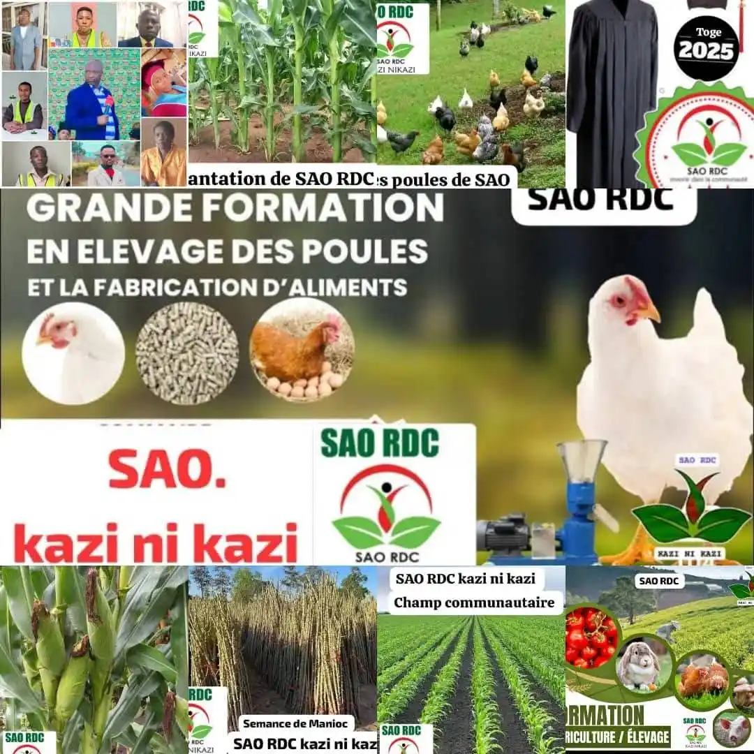 Image from SAO INTERNATIONAL KAZI NI KAZI: 📍 *SAO INTERNATIONAL* 📍 Spécial huile d'onction 🥇1️⃣ *Nous avons* ...