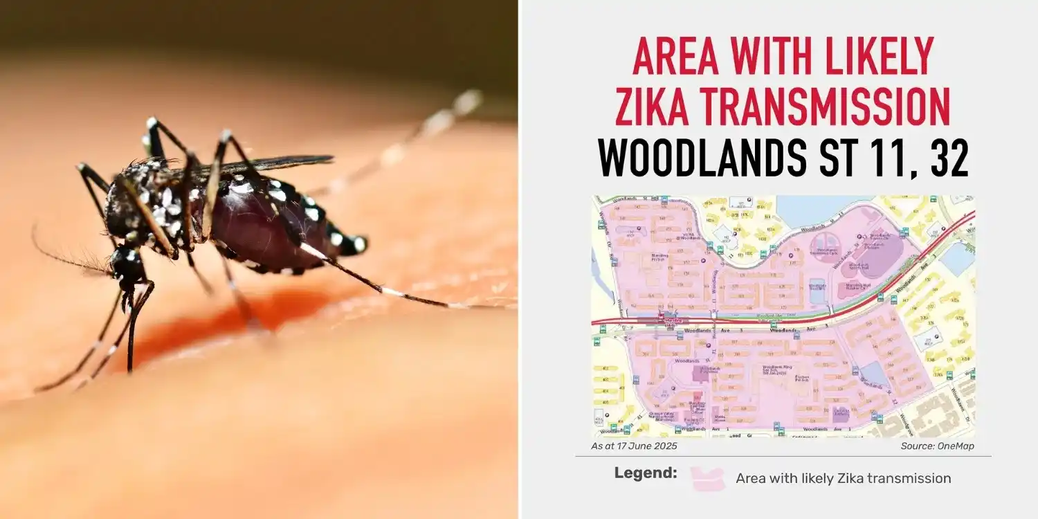 Image from MS News: *2 Zika cases confirmed in Woodlands, NEA advises residents to monitor...