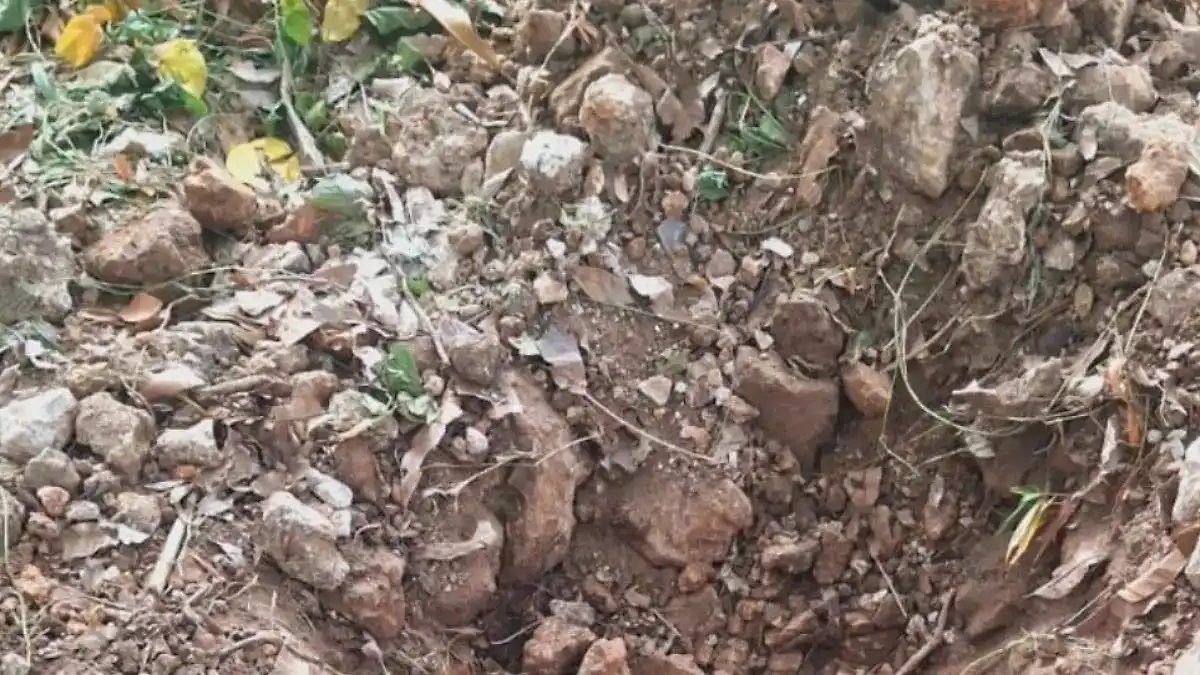Image from El Heraldo de Tabasco 📰: *🗣Acude Fiscalía a indagar fosa clandestina encontrada en la rancherí...
