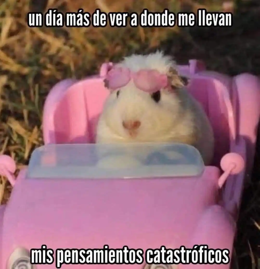 Image from Sopitas.com : ¡Buenos días, chat! Ahora sí es viernes 🥹🥹☀️ ¡Llegó tu shot de noti...