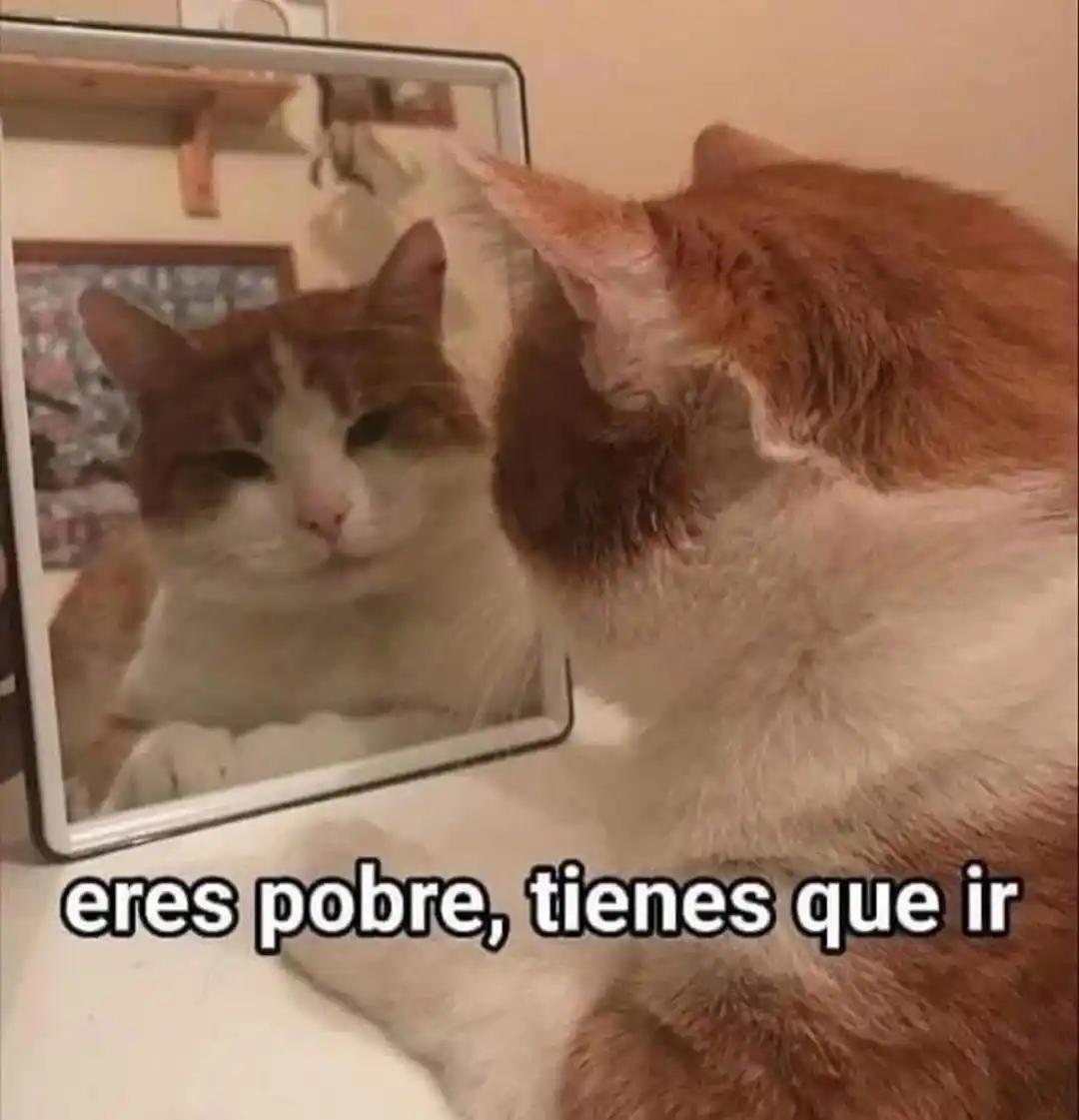 Image from Sopitas.com : ¡Buenos días, chat! Ya es jueves ☀️🥹 Tu shot de noticias llegó calie...