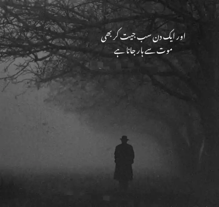 Image from 🌹 اردو ادب 📚: *✍🏻جب خواہشیں مردہ ہونے لگیں تو انسان چپ ہوتا ہے انسانوں سے کٹ جاتا ہ...