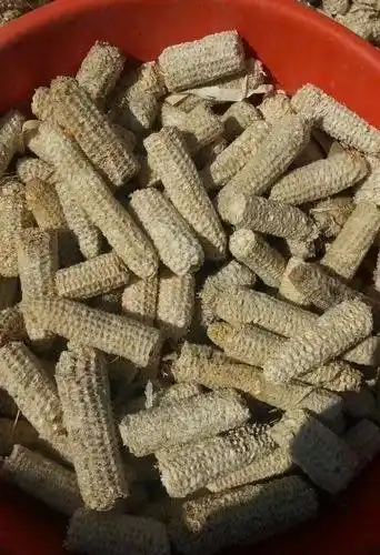Image from Mindset: How to start Corn Cob business:  • Partner with roadside corn vendors ...