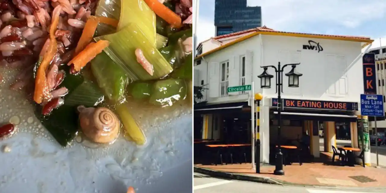 Image from MS News: *Man finds snail in mixed rice from Clarke Quay eatery, does not alert...