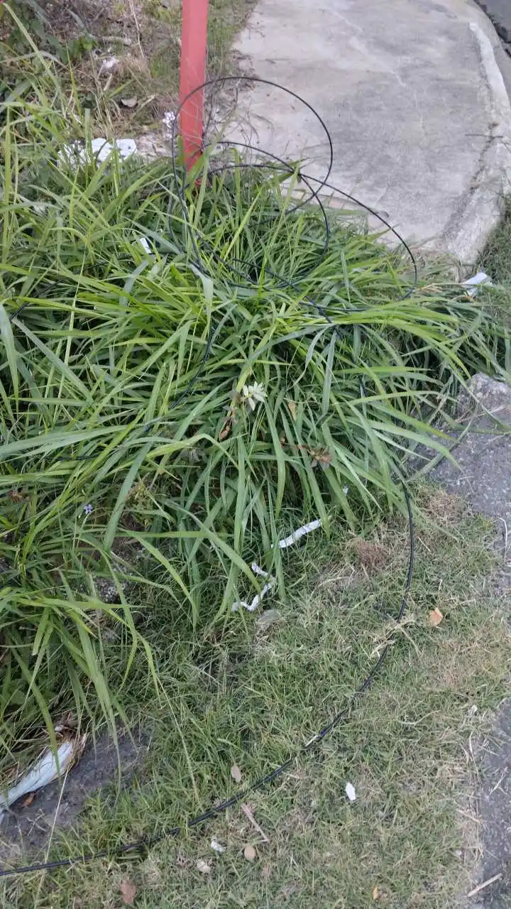 Image from Leste: 📢 Problema no bairro *Araçatiba - Maricá!*  Identificamos um rompimen...
