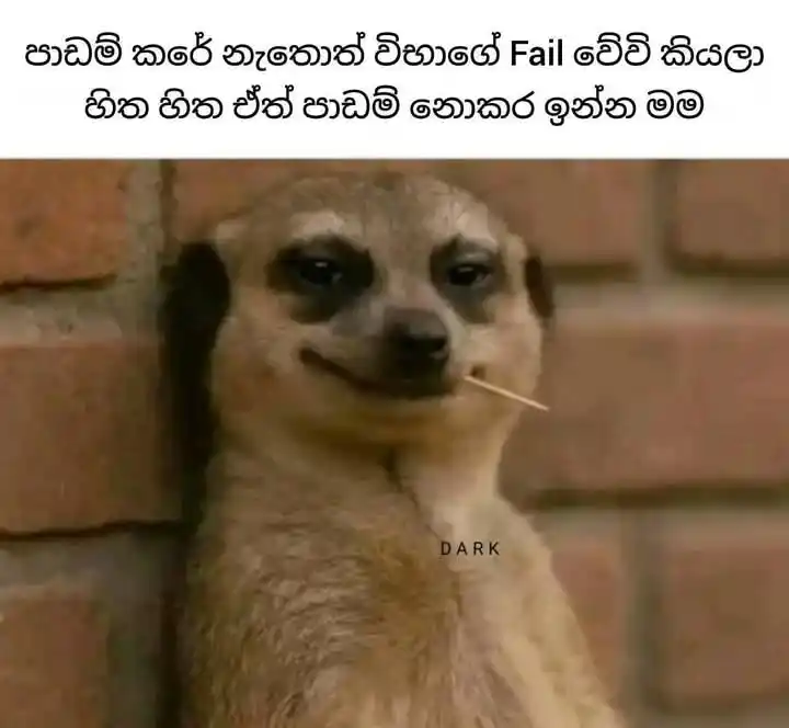 ✤UNIQUE WORLD✤ post