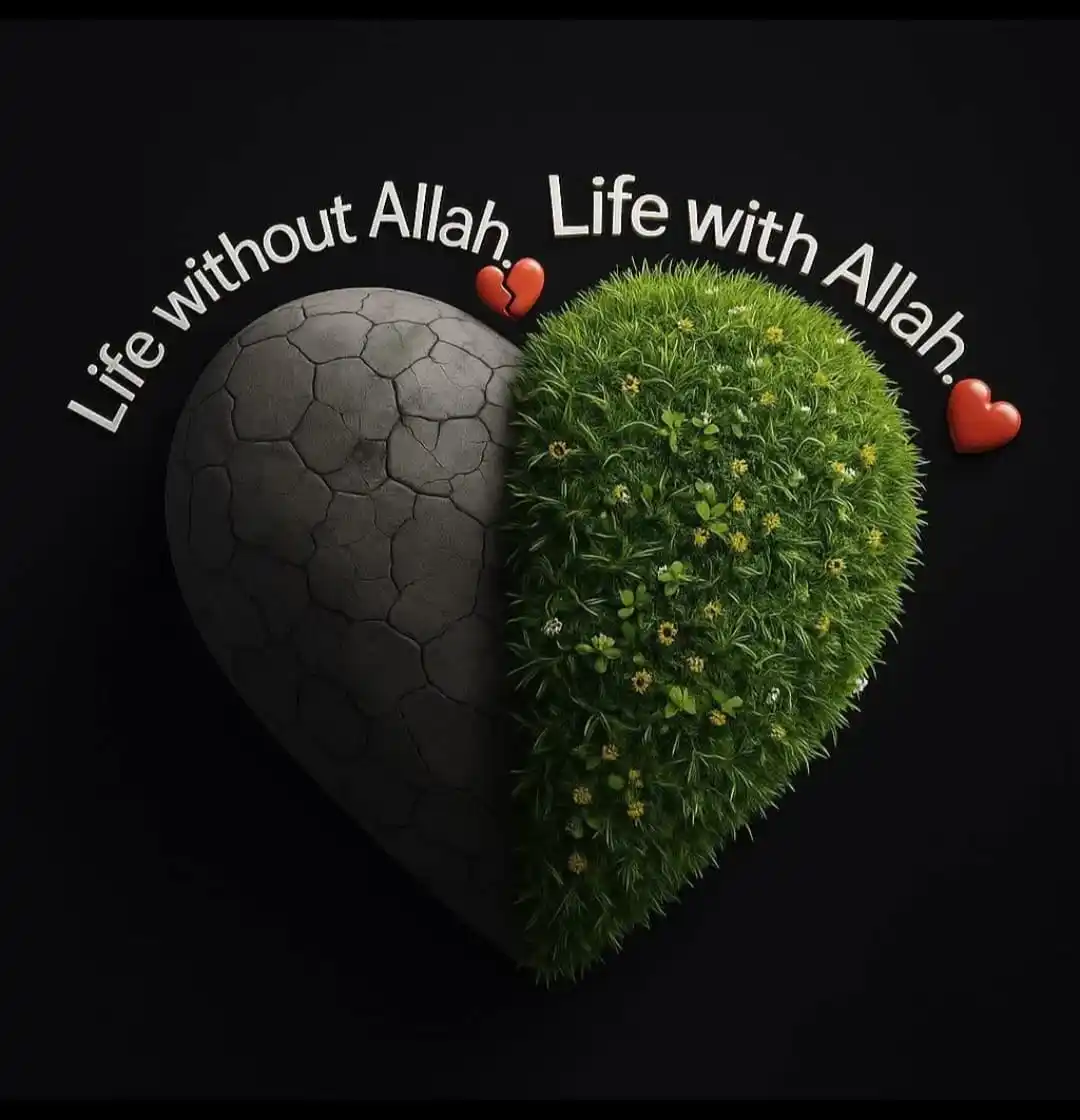 🤲❤️ Life With Allah ❤️🤲 post