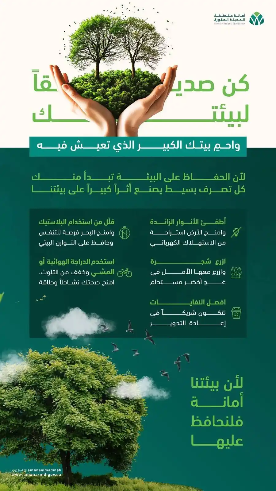 قناة بيئي 🍃 post