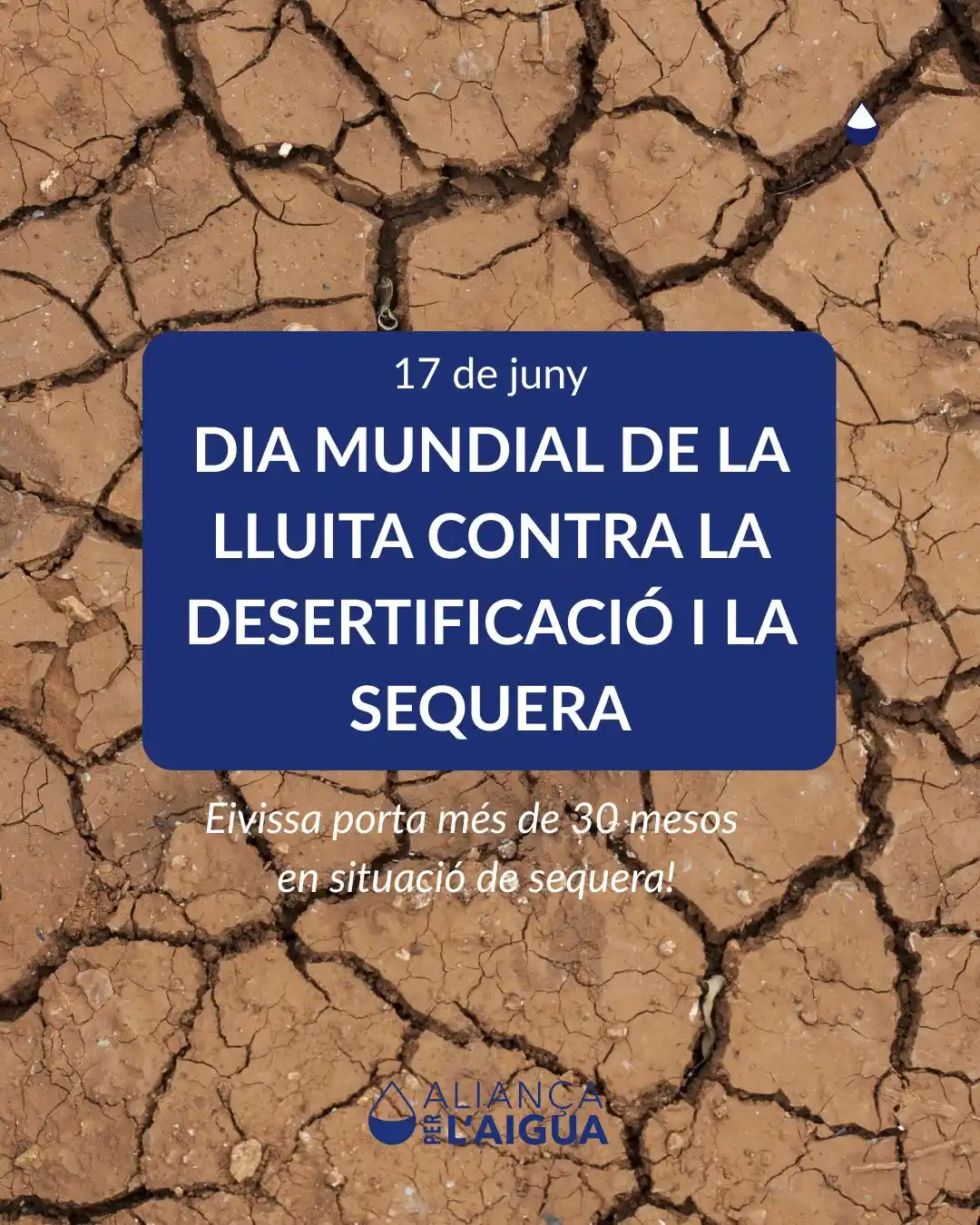 Aliança per l’Aigua post