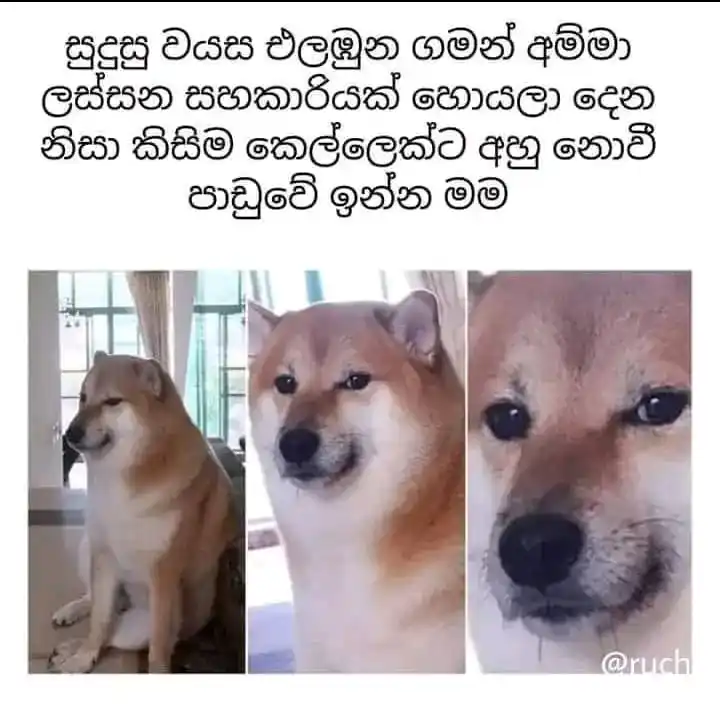 ✤UNIQUE WORLD✤ post